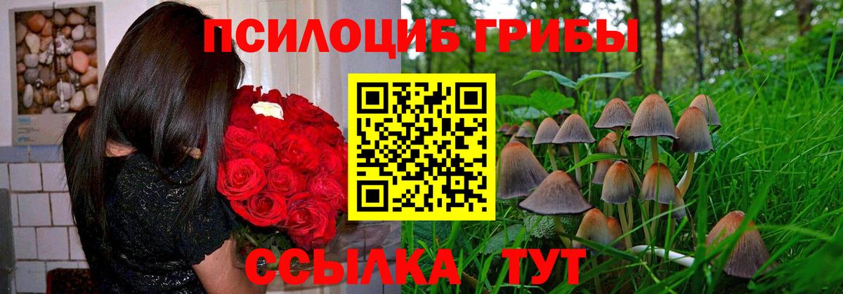 Галлюциногенные грибы мицелий Губаха